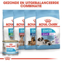 Royal Canin Starter Mousse Mother & Babydog - Hondenvoer -Honden Benodigdheden bl4p5kMJ1OokI1JY0jjsb1ddnBlXBM metaUm95YWwtQ2FuaW4tU3RhcnRlci1Nb3Vzc2UtTW90aGVyLSYtQmFieWRvZ18wNC5qcGc