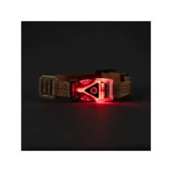 Carhartt Lighted Dog Collar -Honden Benodigdheden carhartt lighted dog collar 187091 1000 none
