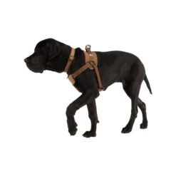 Carhartt Work Dog Harness -Honden Benodigdheden carhartt work dog harness 186805 1000 none
