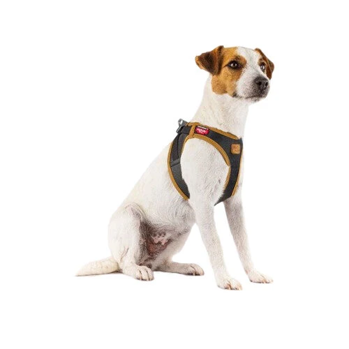 Curli Harnas Vegan Appelleer 19 Curli Harnas Vegan Appelleer - Afbeelding 17