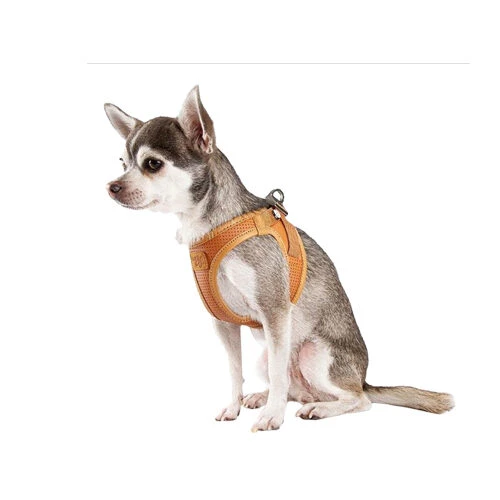 Curli Harnas Vegan Appelleer 17 Curli Harnas Vegan Appelleer - Afbeelding 15