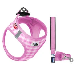 Curli Vest Harness Air-Mesh & Leash Puppy Set -Honden Benodigdheden curli vest harness air mesh leash puppy set 217578 2000 none