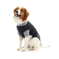 Buster Bodysuit -Honden Benodigdheden d0eb5fdae935178ea30887a3b413bc3d228fcd0d70bb9f6cc5219a89b552f5b4 3