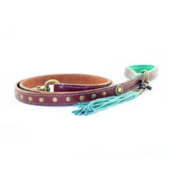 DWAM Hondenriem Joe -Honden Benodigdheden d851e1da746a7ed69e57f268b3d363ea01f1b2f4b9f1cd7e247e9dd6aefa05ae 4