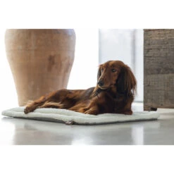 Designed By Lotte Benchkussen Gisel -Honden Benodigdheden designed by lotte benchkussen gisel 221516 1000 none