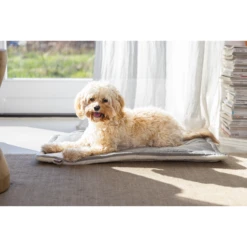 Designed By Lotte Benchkussen Gisel -Honden Benodigdheden designed by lotte benchkussen gisel 221518 1500 none