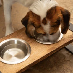 Designed By Lotte Houten Dinerset Karinto -Honden Benodigdheden designed by lotte houten dinerset karinto 164311 2000 none