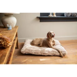 Designed By Lotte Xanti Hondenkussen -Honden Benodigdheden designed by lotte xanti hondenkussen 188127 2000 none