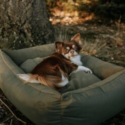 District 70 Lodge Box Bed -Honden Benodigdheden district 70 lodge box bed hondenmand 190685 2000 none