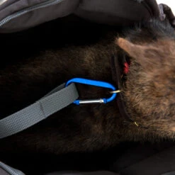 Doctor Bark Dog Carrier Bag -Honden Benodigdheden doctor bark honden draagtas 202157 1500 none