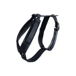 Kentucky Dog Harness Active Velvet 31 Kentucky Dog Harness Active Velvet -Honden Benodigdheden dog harness active velvet black s 26 x 40 cm 134636 0500 none