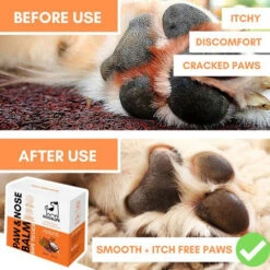 Dogslife Paw & Nose Balm -Honden Benodigdheden dogslife paw nose balm 219825 0500 none