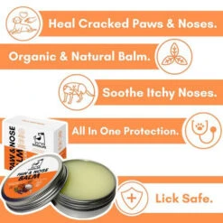 Dogslife Paw & Nose Balm -Honden Benodigdheden dogslife paw nose balm 219827 0500 none