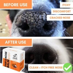Dogslife Paw & Nose Balm -Honden Benodigdheden dogslife paw nose balm 219828 0500 none