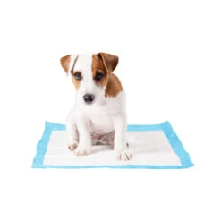 Duvo+ Puppy Pads 20 Duvo+ Puppy Pads -Honden Benodigdheden duvo puppy pads 146015 1000 none
