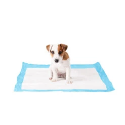 Duvo+ Puppy Pads 17 Duvo+ Puppy Pads -Honden Benodigdheden duvo puppy pads large 50 stuks 108439 1000 none