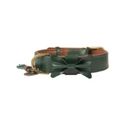 DWAM Halsband Bowie -Honden Benodigdheden dwam bowie halsband groen xxl 113224 1000 none