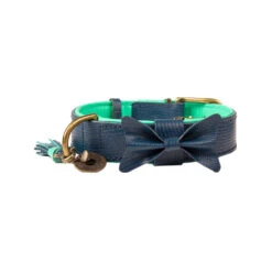 DWAM Halsband Buster 17 DWAM Halsband Buster -Honden Benodigdheden dwam buster halsband blauw xxl 113113 1000 none