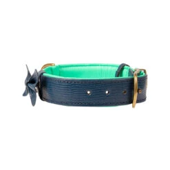 DWAM Halsband Buster 20 DWAM Halsband Buster -Honden Benodigdheden dwam buster halsband 186295 1000 none