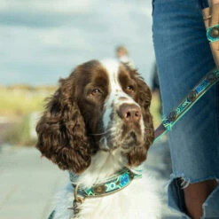 DWAM Halsband Boho Juan 24 DWAM Halsband Boho Juan -Honden Benodigdheden dwam halsband boho juan 133658 0500 none