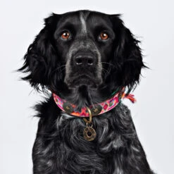 DWAM Halsband Boho Rosa 27 DWAM Halsband Boho Rosa -Honden Benodigdheden dwam halsband boho rosa 133649 2000 none