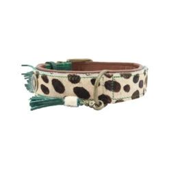 DWAM Halsband Ivy -Honden Benodigdheden dwam halsband ivy 180676 1000 none