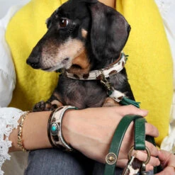 DWAM Halsband Ivy -Honden Benodigdheden dwam halsband ivy 180688 1000 none