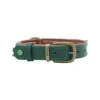 DWAM Halsband Ivy -Honden Benodigdheden dwam halsband ivy s 2 cm 109117 1000 none