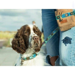 DWAM Hondenriem Boho Juan 12 DWAM Hondenriem Boho Juan -Honden Benodigdheden dwam hondenriem boho juan 135979 1000 none