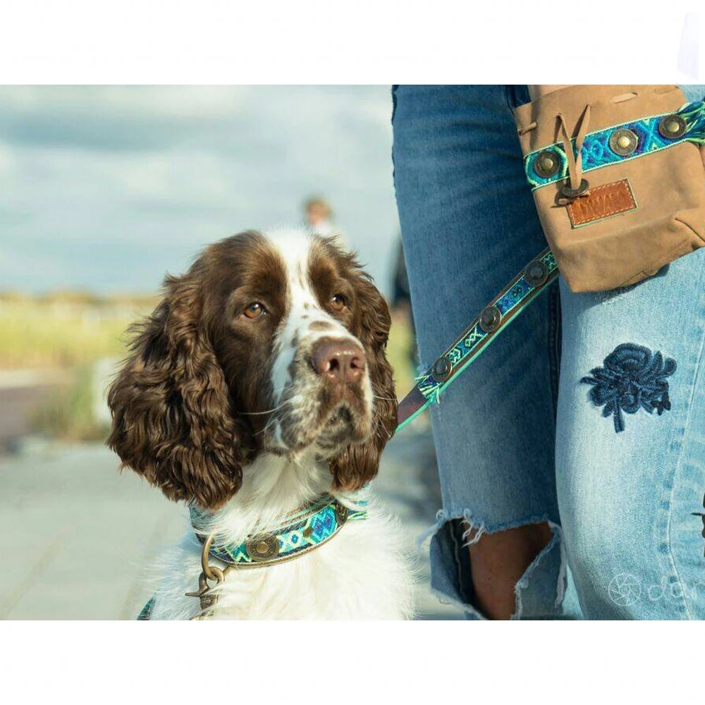 DWAM Hondenriem Boho Juan 6 DWAM Hondenriem Boho Juan - Afbeelding 4