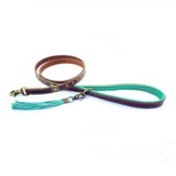 DWAM Hondenriem Joe -Honden Benodigdheden dwam hondenriem joe 161920 1000 none