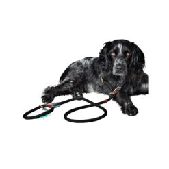 DWAM Hondenriem Long John -Honden Benodigdheden dwam hondenriem long john 166357 1000 none