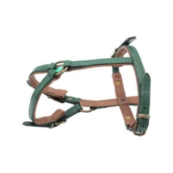 DWAM Hondentuigje Ivy -Honden Benodigdheden dwam hondentuigje ivy 182737 1000 none