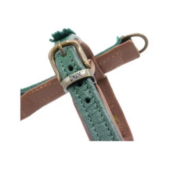 DWAM Hondentuigje Ivy -Honden Benodigdheden dwam hondentuigje ivy 182740 1000 none