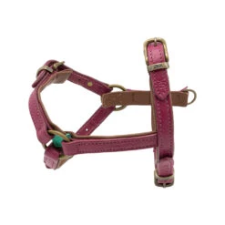 DWAM Hondentuigje Lou Lou -Honden Benodigdheden dwam hondentuigje lou lou 182155 1000 none