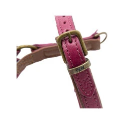 DWAM Hondentuigje Lou Lou -Honden Benodigdheden dwam hondentuigje lou lou 182158 1000 none