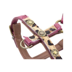 DWAM Hondentuigje Lou Lou -Honden Benodigdheden dwam hondentuigje lou lou 182161 1000 none