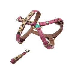 DWAM Hondentuigje Lou Lou -Honden Benodigdheden dwam hondentuigje lou lou s 109756 1000 none