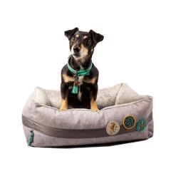 DWAM Jungle Love Mand -Honden Benodigdheden dwam jungle love mand 186595 1500 none