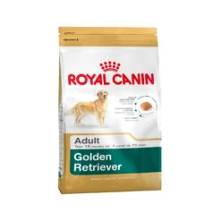 Royal Canin Golden Retriever Adult - Hondenvoer -Honden Benodigdheden e455c803e30caf0a664f6d994fdb13fc1d6214cf6baed032c8952b4b01918865 4