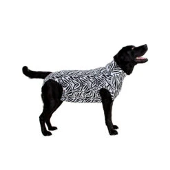 Medical Pet Shirt Hond Zebra Print -Honden Benodigdheden ea3b0ebbd8f8ee365294cad3fe2f31ee5f438757f7b2d3ae5bc8b0633952a80a 3