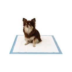 Easypets Trainingspads -Honden Benodigdheden easypets trainingspads 184186 1000 none