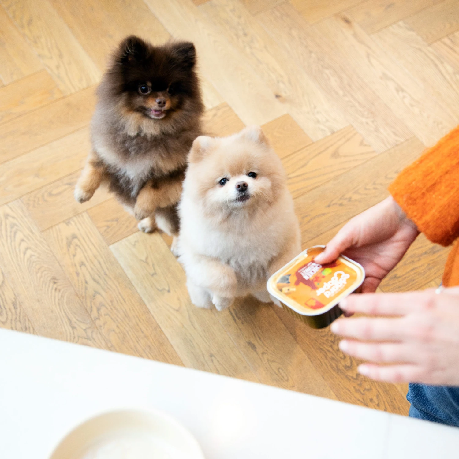 Edgard & Cooper Adult - Kip & Kalkoen - Kuipje 7 Edgard & Cooper Adult - Kip & Kalkoen - Kuipje - Afbeelding 5