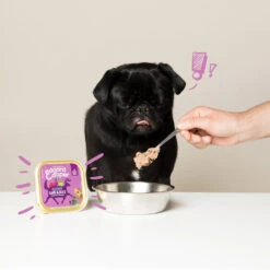 Edgard & Cooper Adult - Wild & Eend - Kuipje 15 Edgard & Cooper Adult - Wild & Eend - Kuipje -Honden Benodigdheden edgard cooper adult wild eend kuipje 168648 1000 none