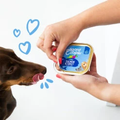 Edgard & Cooper Adult - Zalm & Kalkoen - Kuipje -Honden Benodigdheden edgard cooper adult zalm kalkoen kuipje 208616 1000 none