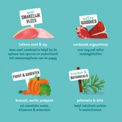 Edgard & Cooper Puppy - Eend & Kip - Kuipje 18 Edgard & Cooper Puppy - Eend & Kip - Kuipje -Honden Benodigdheden edgard cooper puppy eend kip kuipje 168675 1000 none