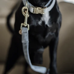 Kentucky Dogwear Hondenlijn Wool 34 Kentucky Dogwear Hondenlijn Wool -Honden Benodigdheden ejrjoyb8lNCNJUWqzyDtR4feCTIyNI metaS2VudHVja3ktRG9nd2Vhci1Ib25kZW5saWpuLVdvb2wtbGljaHRibGF1dy1kZXRhaWwucG5n