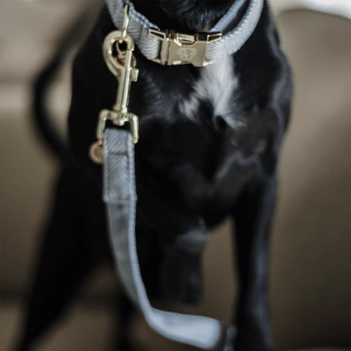 Kentucky Dogwear Hondenlijn Wool 15 Kentucky Dogwear Hondenlijn Wool - Afbeelding 13