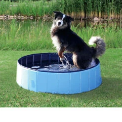Trixie Dog Pool -Honden Benodigdheden f3c254e7b093a35df5be4dec515b817f11f0cc6e13d32cccfd615f978850dadb 3
