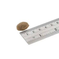 Fish4Dogs Finest Adult Complete - Sardine Grote Brok -Honden Benodigdheden fish4dogs finest adult complete sardine grote brok 160928 1000 none